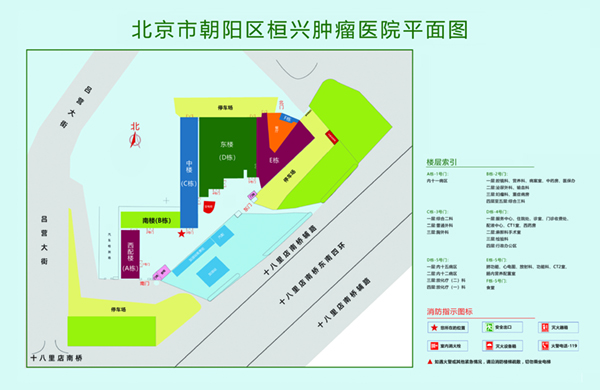 3.0.3免费OPPO版破解大全免费下载北京市朝阳区桓兴肿瘤医院平面图